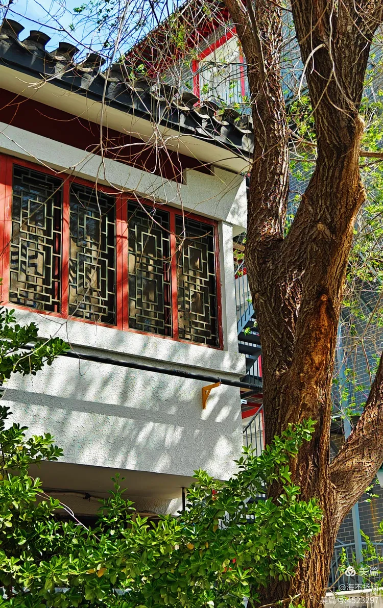 菊儿胡同,后圆恩寺胡同